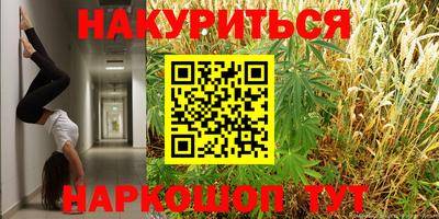 стаф Нальчик